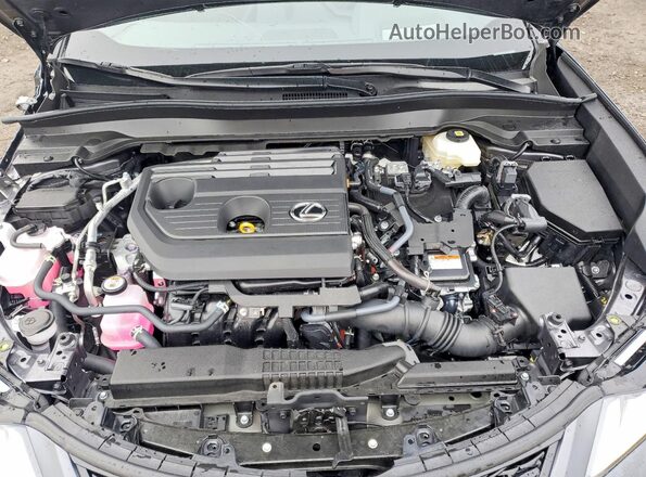 JTHUCJDH6S2012285 2025 LEXUS UX Gray Widok wnętrza z tyłu