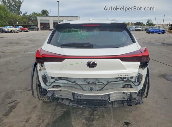 JTHX3JBH8M2040396 2021 LEXUS UX White Rear view