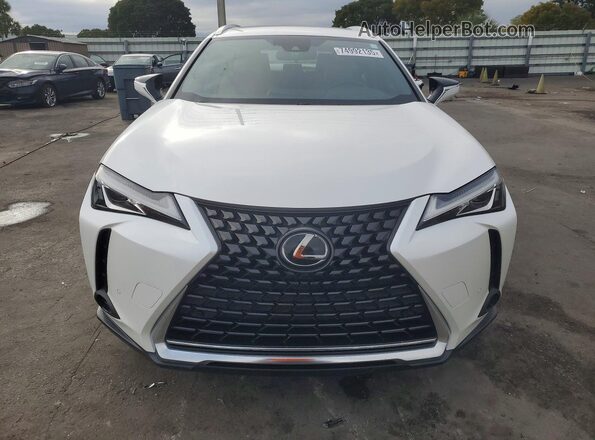 JTHX3JBH8M2040396 2021 LEXUS UX White Front view