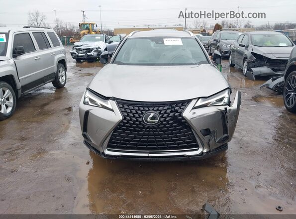 JTHX3JBH9L2031446 2020 LEXUS UX 200 Серый Вид задней части салона