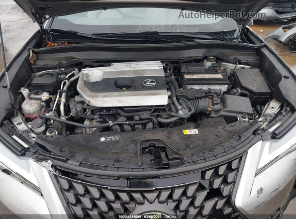 JTHX3JBH9L2031446 2020 LEXUS UX 200 Серый Вид сзади