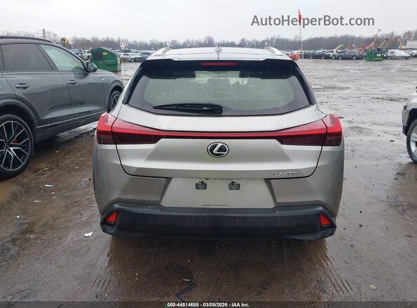 JTHX3JBH9L2031446 2020 LEXUS UX 200 Серый 