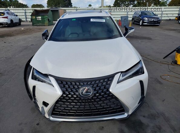 JTHX6JBH6P2148432 2023 LEXUS UX Белый Вид спереди