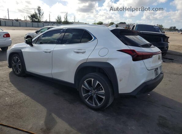 JTHX6JBH6P2148432 2023 LEXUS UX Белый Задняя левая четверть