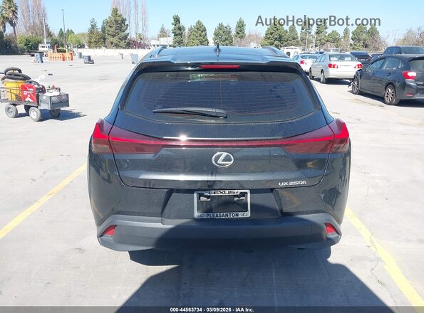 JTHX6JBH6R2187833 2024 LEXUS UX 250H Black 