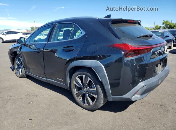 JTHX9JBH9M2046416 2021 LEXUS UX Black Հետևի ձախ