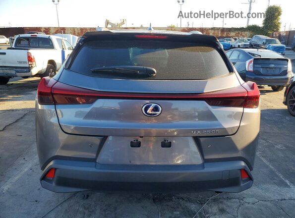 JTHX9JBHXM2050216 2021 LEXUS UX Gray Вид ззаду