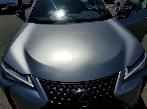JTHY3JBH0K2011525 2019 LEXUS UX Silver Սալոնի հետևի տեսք