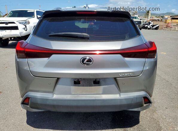 JTHY3JBH0K2011525 2019 LEXUS UX Silver Հետևի տեսք