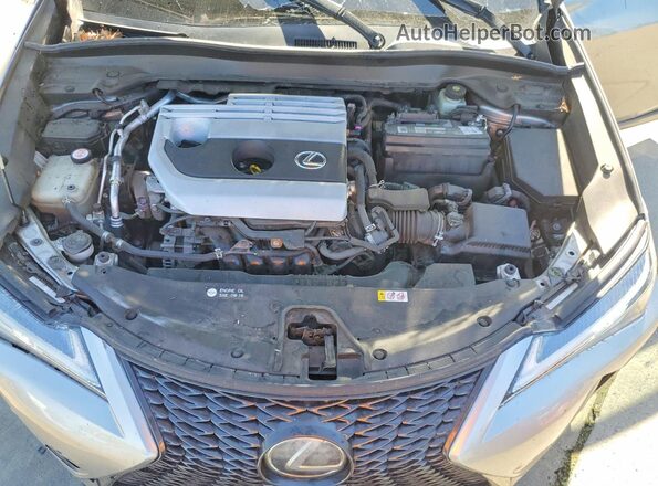 JTHY3JBH3K2018601 2019 LEXUS UX Silver 