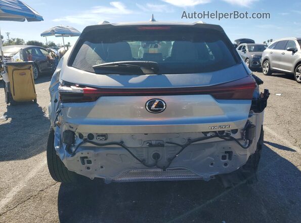 JTHY3JBHXK2012505 2019 LEXUS UX Gray უკანა ხედი