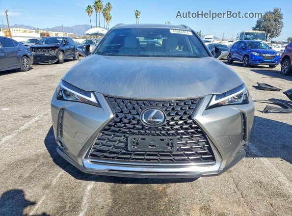 JTHY3JBHXK2012505 2019 LEXUS UX Gray წინა ხედი