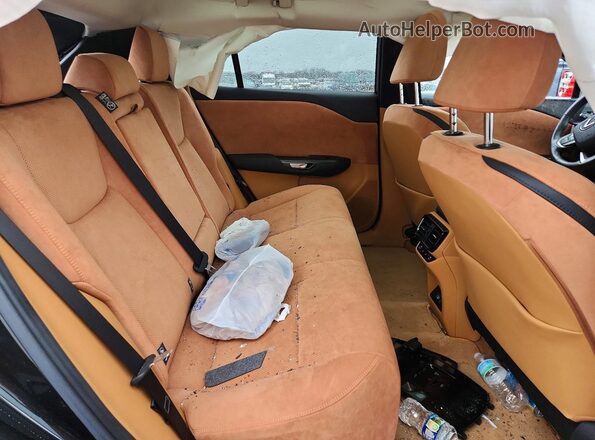 JTJAAAAB2PA014975 2023 LEXUS RZ Black Vista interior trasera