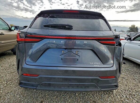 JTJADCEZ3N2000746 2022 LEXUS NX Gray Vista trasera