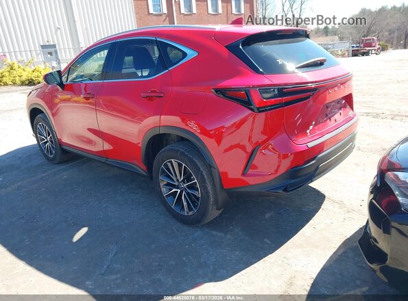 JTJADCEZ7P2002552 2023 LEXUS NX 250 Red Tył lewy