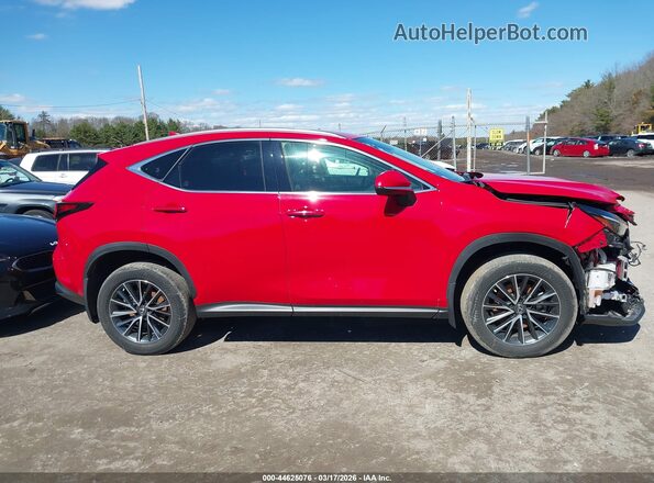 JTJADCEZ7P2002552 2023 LEXUS NX 250 Red Widok wnętrza z tyłu