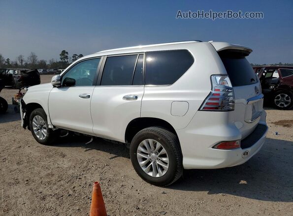 JTJAM7BX1P5360660 2023 LEXUS GX White უკანა მარცხენა