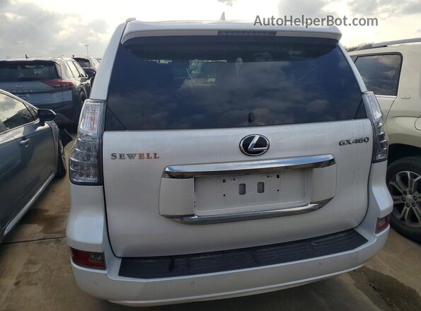 JTJAM7BX2P5371439 2023 LEXUS GX White Rear view