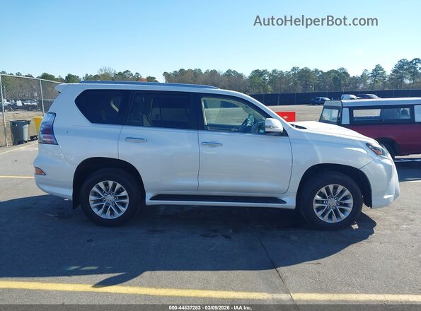 JTJAM7BX3M5284502 2021 LEXUS GX 460 White Вид задньої частини салону
