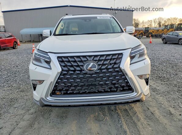 JTJAM7BX3P5361227 2023 LEXUS GX Белый Вид спереди