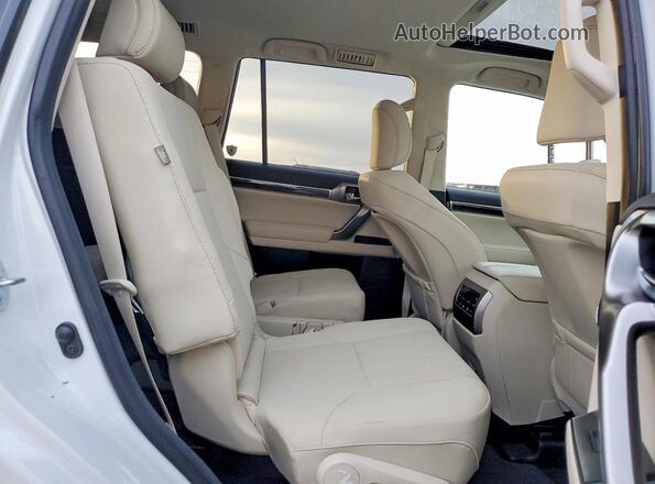 JTJAM7BX3P5361227 2023 LEXUS GX Белый Вид задней части салона
