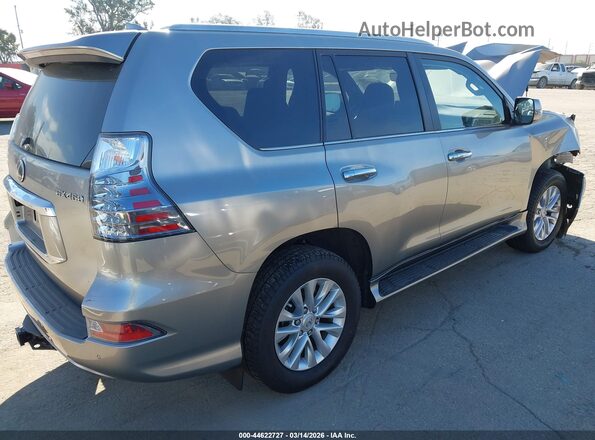 JTJAM7BX3P5384863 2023 LEXUS GX 460 Gray Trasero derecho