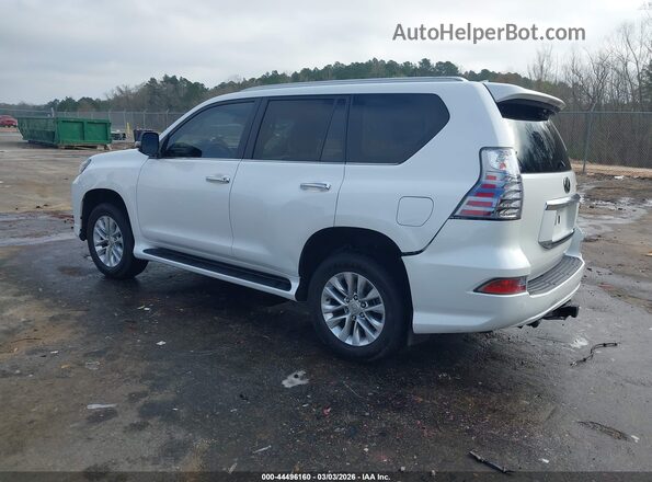 JTJAM7BX4M5273654 2021 LEXUS GX 460 White უკანა მარცხენა