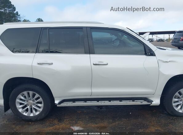 JTJAM7BX4M5273654 2021 LEXUS GX 460 White უკანა სალონის ხედი
