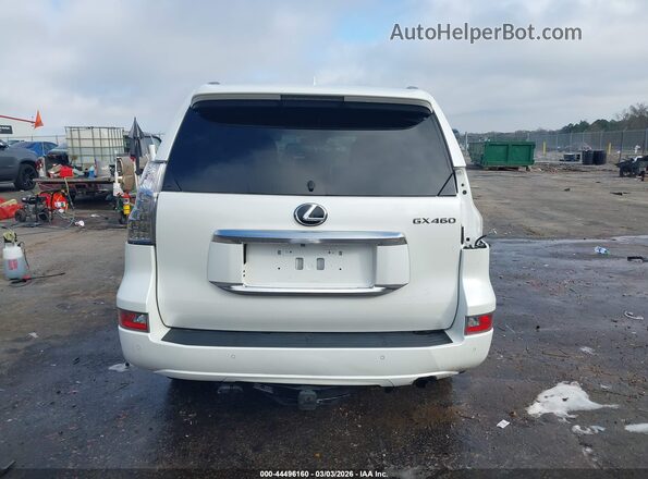JTJAM7BX4M5273654 2021 LEXUS GX 460 White 