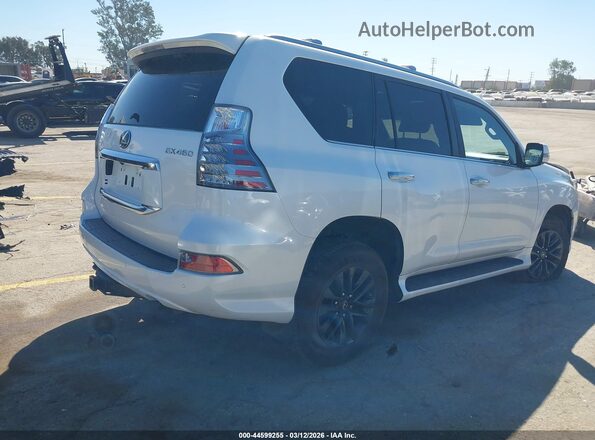 JTJAM7BX4M5291586 2021 LEXUS GX 460 White Rear right