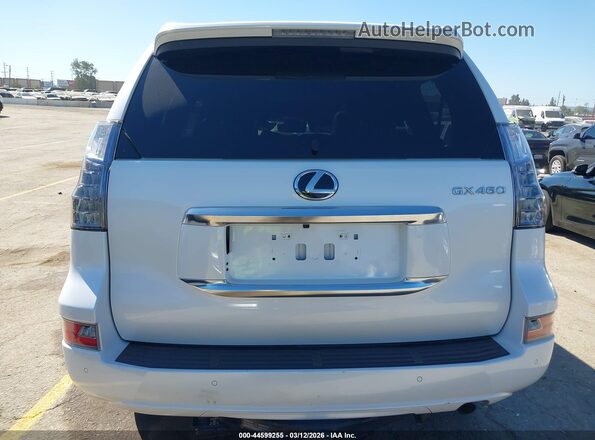 JTJAM7BX4M5291586 2021 LEXUS GX 460 White 