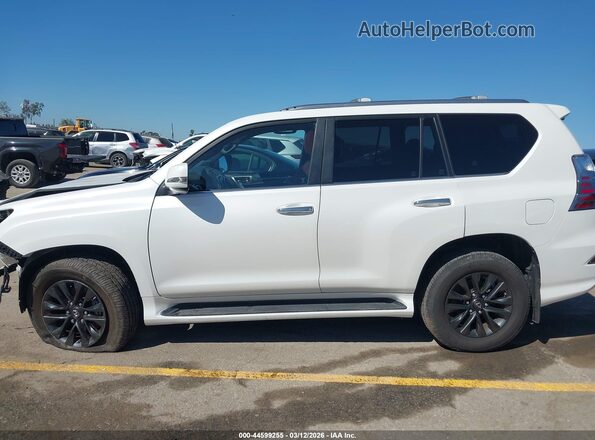 JTJAM7BX4M5291586 2021 LEXUS GX 460 White Rear interior view