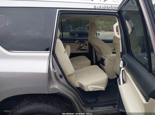 JTJAM7BX4P5347109 2023 LEXUS 460 Beige 