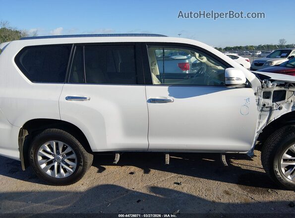 JTJAM7BX5M5271301 2021 LEXUS GX 460 Белый 