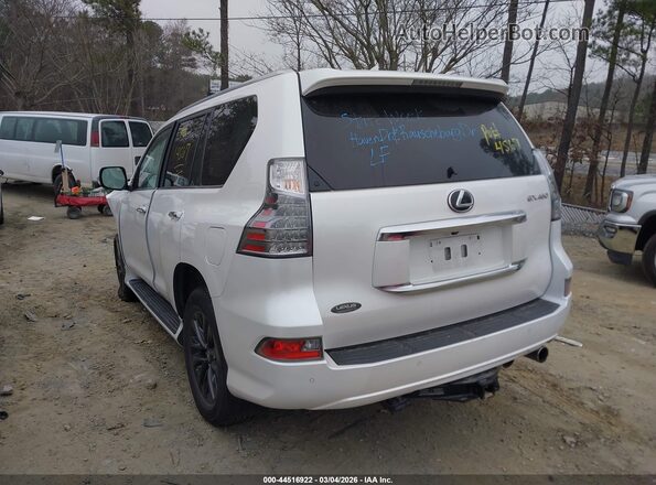 JTJAM7BX5P5384914 2023 LEXUS GX 460 White Trasero izquierdo