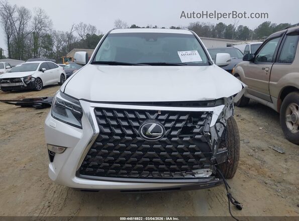 JTJAM7BX5P5384914 2023 LEXUS GX 460 White Vista del salpicadero