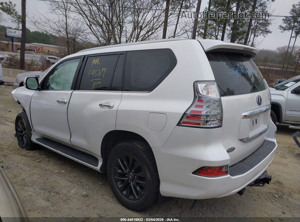 JTJAM7BX5P5384914 2023 LEXUS GX 460 White Vista interior trasera