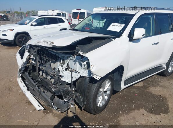 JTJAM7BX6P5366065 2023 LEXUS GX 460 White Դիմացի տեսք