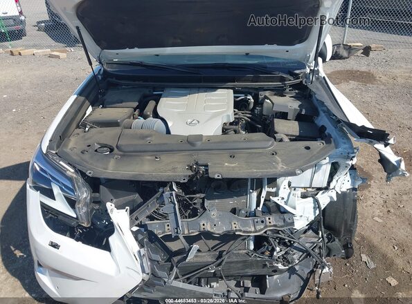 JTJAM7BX6P5366065 2023 LEXUS GX 460 White Հետևի տեսք