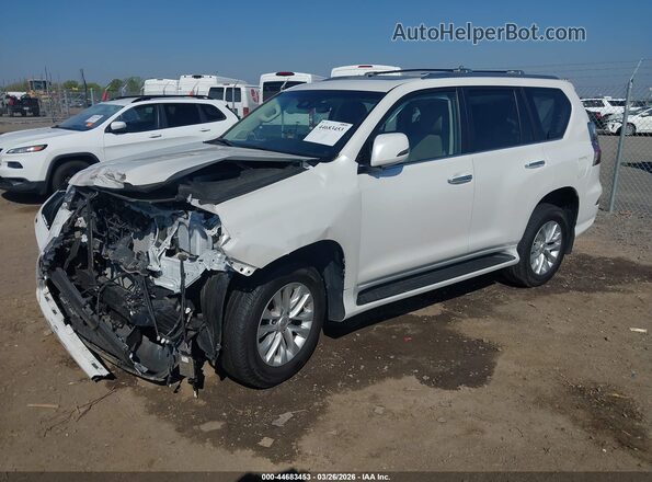 JTJAM7BX6P5366065 2023 LEXUS GX 460 White Առջևի ձախ երեք քառորդ տեսարան