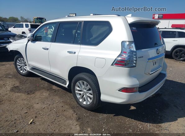 JTJAM7BX6P5366065 2023 LEXUS GX 460 White Հետևի ձախ