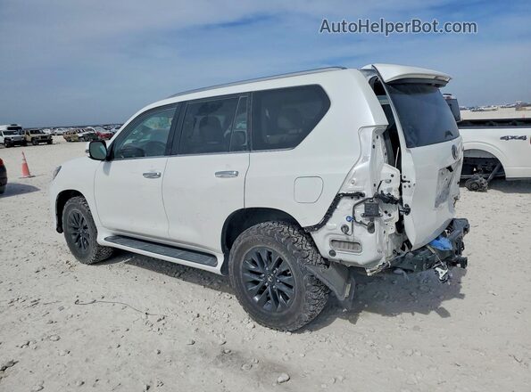 JTJAM7BX7M5287256 2021 LEXUS GX White Հետևի ձախ