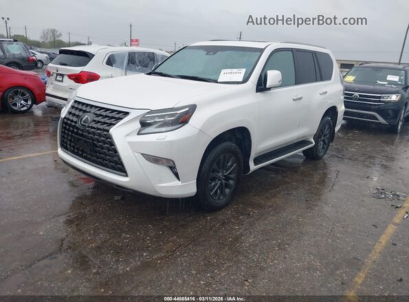 JTJAM7BX9P5375536 2023 LEXUS GX 460 White Przód lewy