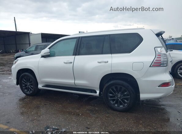 JTJAM7BX9P5375536 2023 LEXUS GX 460 White Widok wnętrza 360 stopni