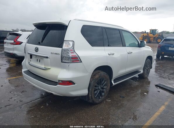 JTJAM7BX9P5375536 2023 LEXUS GX 460 White Tył prawy