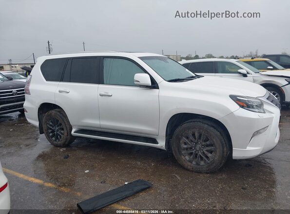 JTJAM7BX9P5375536 2023 LEXUS GX 460 White Widok wnętrza z tyłu