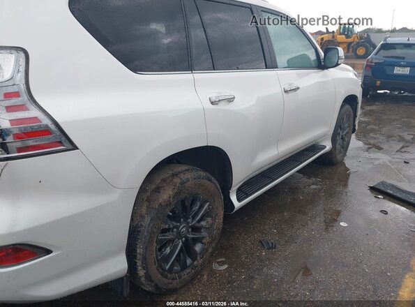 JTJAM7BX9P5375536 2023 LEXUS GX 460 White Widok z przodu
