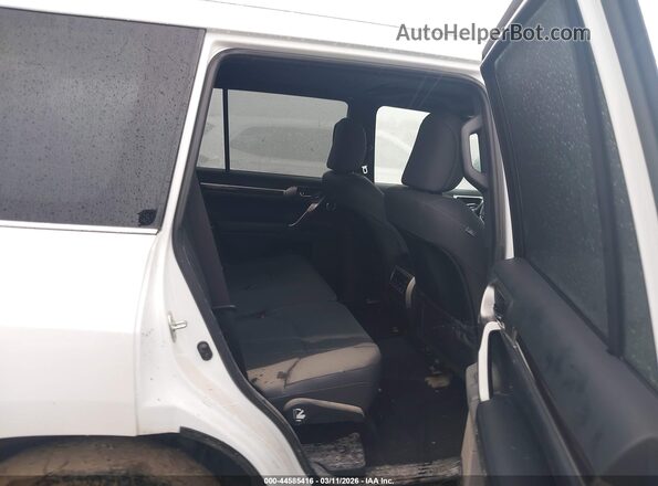 JTJAM7BX9P5375536 2023 LEXUS GX 460 White Widok naklejki z numerem VIN