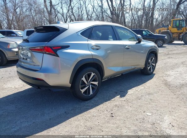 JTJBARBZ0J2154698 2018 LEXUS NX 300 Gray უკანა მარჯვენა