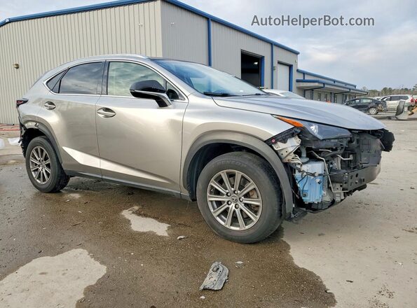 JTJBARBZ0K2204629 2019 LEXUS NX Silver Առջևի աջ
